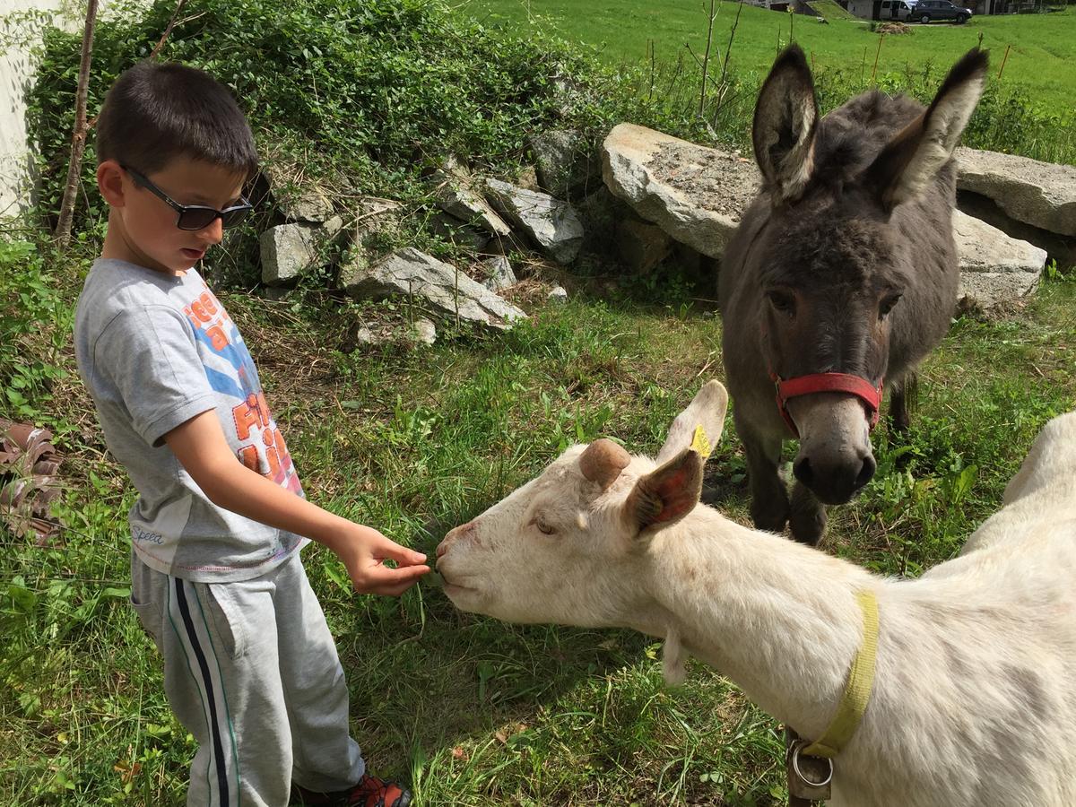 Hotel Rifugio Viviani Pradalago Madonna Zewnętrze zdjęcie