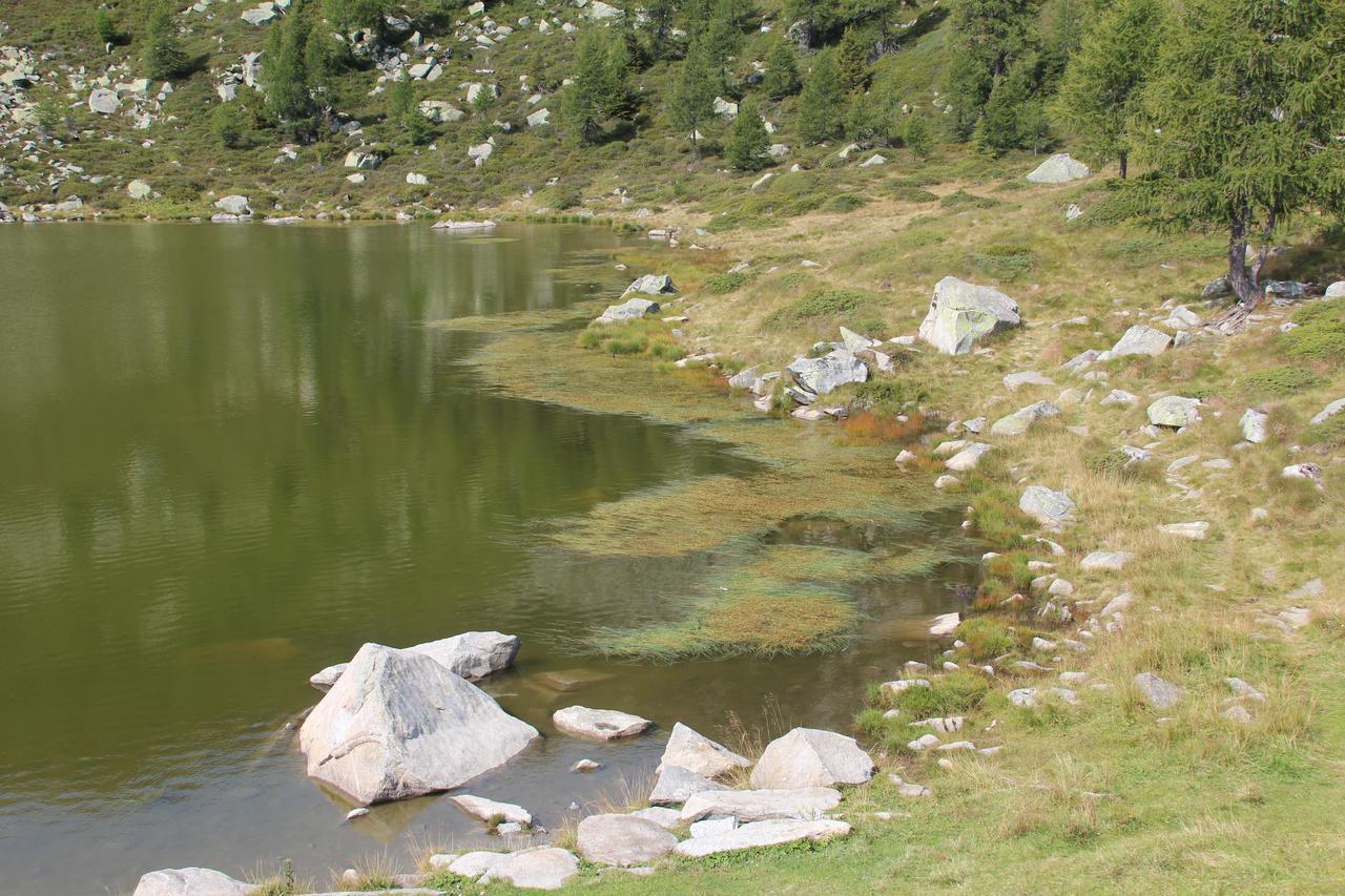 Hotel Rifugio Viviani Pradalago Madonna Zewnętrze zdjęcie